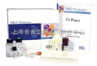 人胃泌素释放多肽(GRP)免疫组化试剂盒 精准检测新选择——上海雅吉生化试剂研发中心